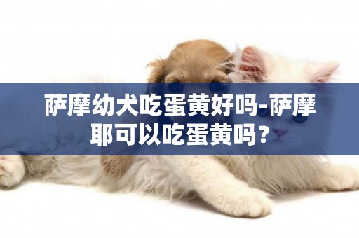 萨摩幼犬吃蛋黄好吗-萨摩耶可以吃蛋黄吗？