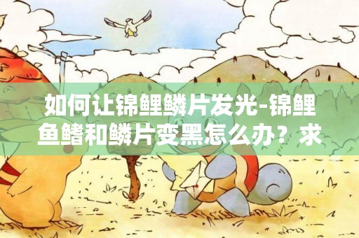 如何让锦鲤鳞片发光-锦鲤鱼鳍和鳞片变黑怎么办？求高人指点！