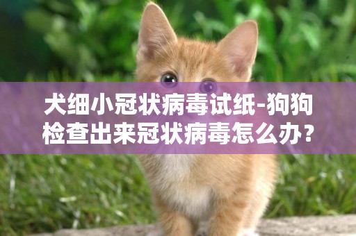 犬细小冠状病毒试纸-狗狗检查出来冠状病毒怎么办？