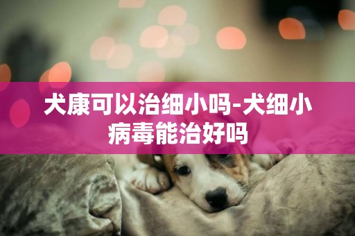 犬康可以治细小吗-犬细小病毒能治好吗