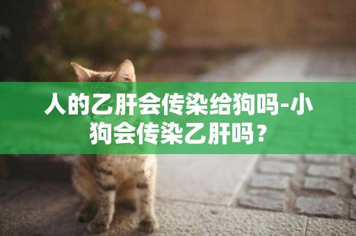 人的乙肝会传染给狗吗-小狗会传染乙肝吗？