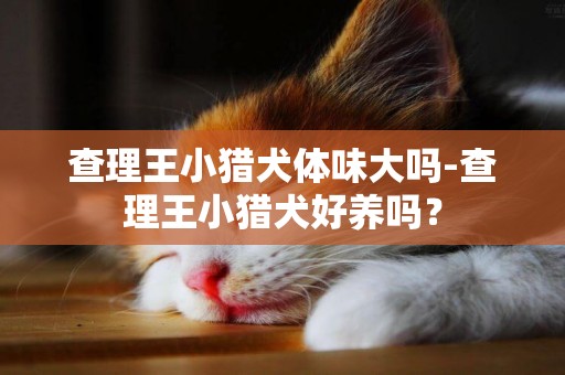 查理王小猎犬体味大吗-查理王小猎犬好养吗？