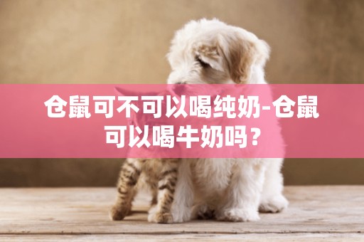 仓鼠可不可以喝纯奶-仓鼠可以喝牛奶吗？