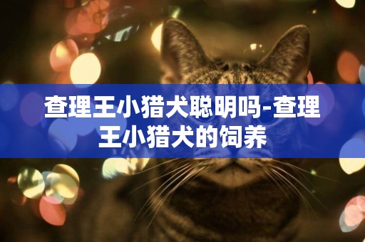 查理王小猎犬聪明吗-查理王小猎犬的饲养