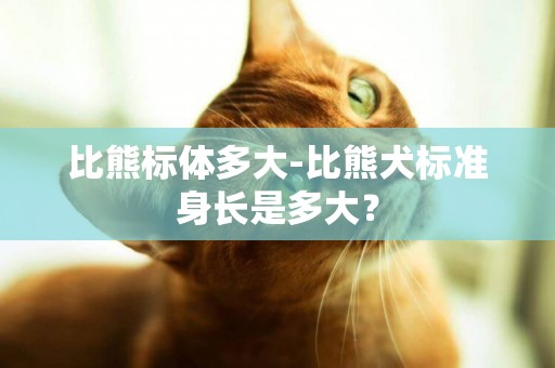 比熊标体多大-比熊犬标准身长是多大？