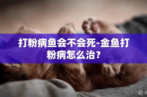 打粉病鱼会不会死-金鱼打粉病怎么治？