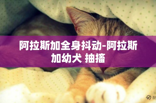 阿拉斯加全身抖动-阿拉斯加幼犬 抽搐