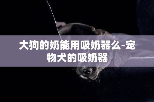 大狗的奶能用吸奶器么-宠物犬的吸奶器