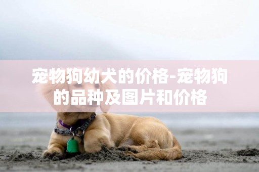 宠物狗幼犬的价格-宠物狗的品种及图片和价格