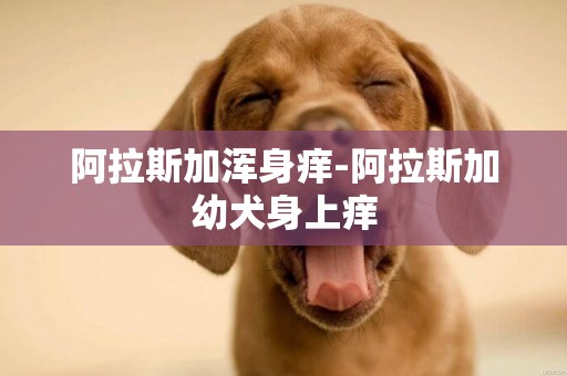 阿拉斯加浑身痒-阿拉斯加幼犬身上痒