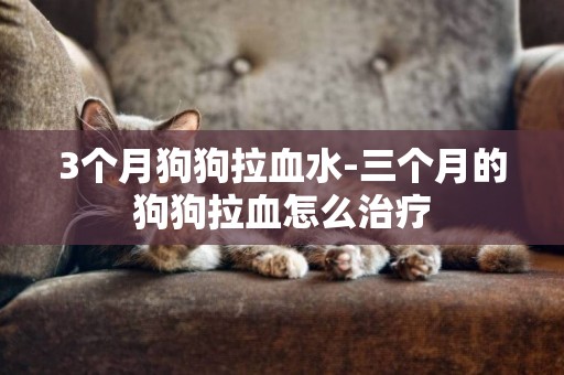 3个月狗狗拉血水-三个月的狗狗拉血怎么治疗