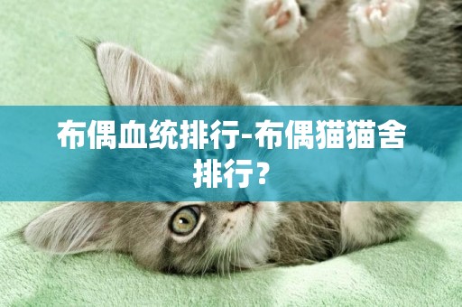 布偶血统排行-布偶猫猫舍排行？