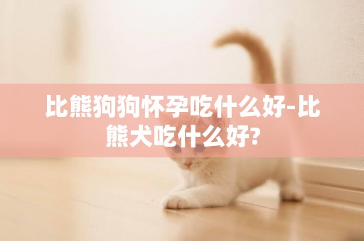 比熊狗狗怀孕吃什么好-比熊犬吃什么好?