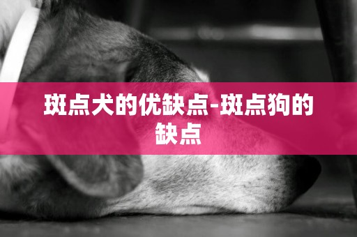 斑点犬的优缺点-斑点狗的缺点