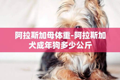 阿拉斯加母体重-阿拉斯加犬成年狗多少公斤