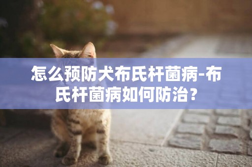 怎么预防犬布氏杆菌病-布氏杆菌病如何防治？