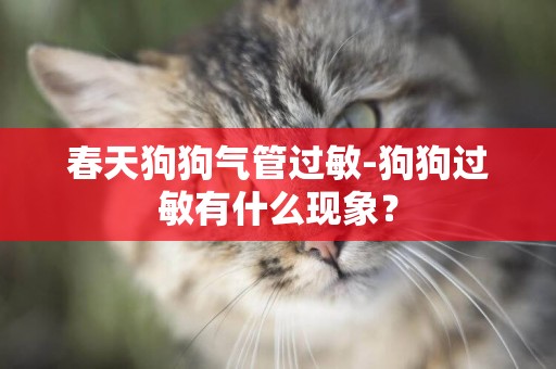 春天狗狗气管过敏-狗狗过敏有什么现象？