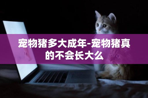 宠物猪多大成年-宠物猪真的不会长大么