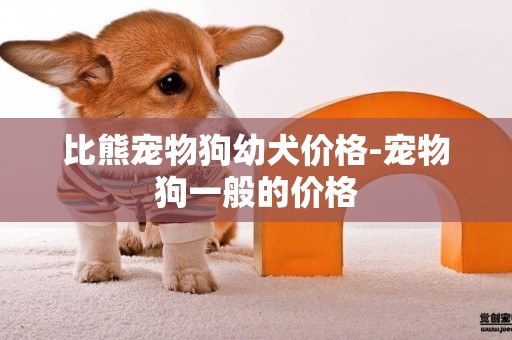 比熊宠物狗幼犬价格-宠物狗一般的价格