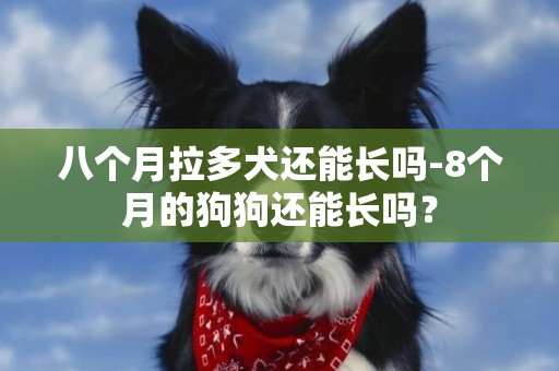 八个月拉多犬还能长吗-8个月的狗狗还能长吗？