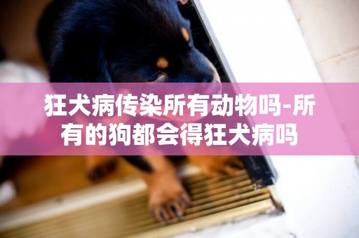 狂犬病传染所有动物吗-所有的狗都会得狂犬病吗