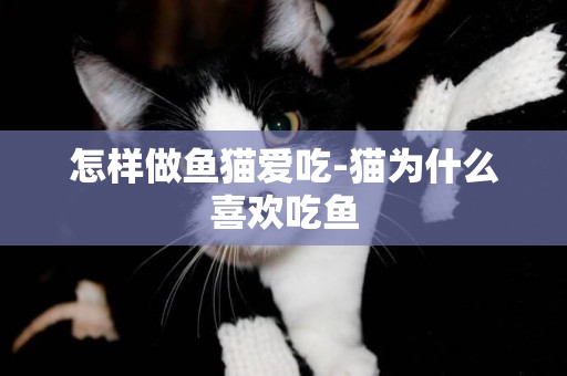 怎样做鱼猫爱吃-猫为什么喜欢吃鱼