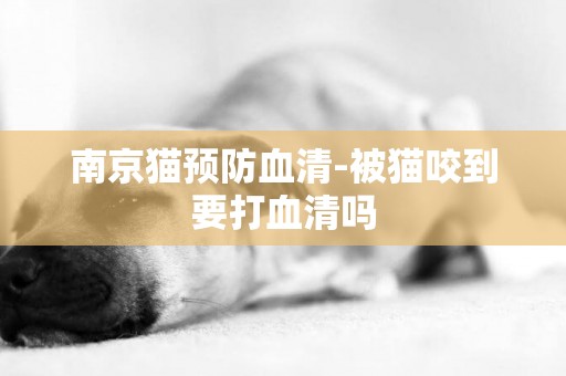 南京猫预防血清-被猫咬到要打血清吗