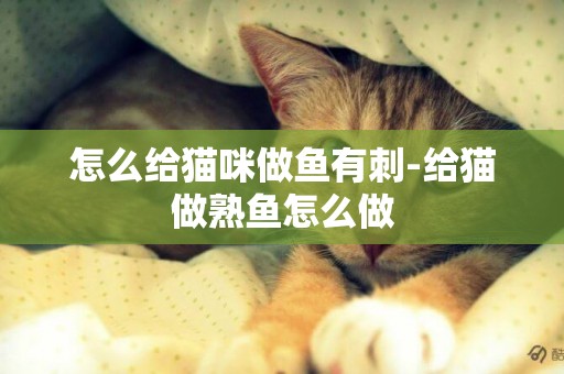 怎么给猫咪做鱼有刺-给猫做熟鱼怎么做