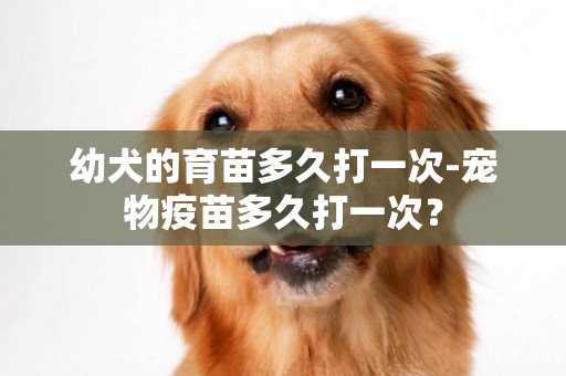 幼犬的育苗多久打一次-宠物疫苗多久打一次？