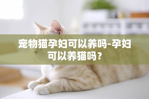 宠物猫孕妇可以养吗-孕妇可以养猫吗？