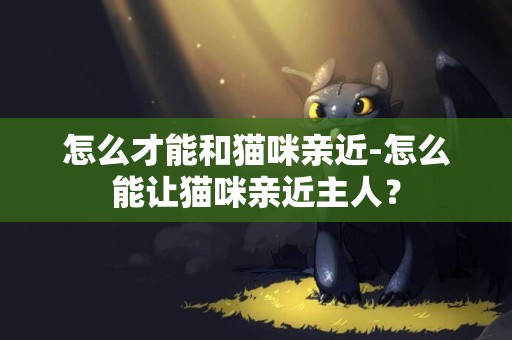 怎么才能和猫咪亲近-怎么能让猫咪亲近主人？