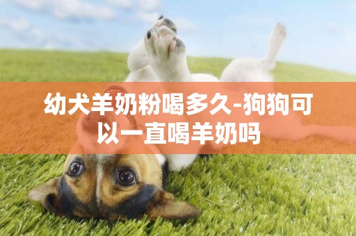 幼犬羊奶粉喝多久-狗狗可以一直喝羊奶吗