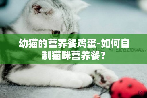 幼猫的营养餐鸡蛋-如何自制猫咪营养餐？