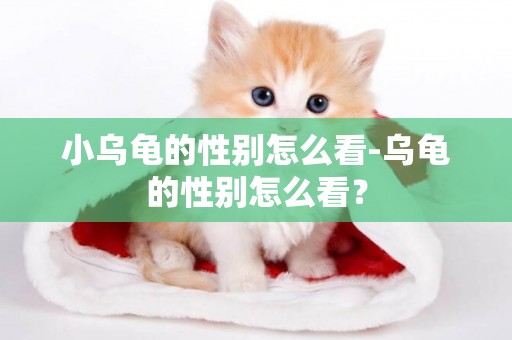 小乌龟的性别怎么看-乌龟的性别怎么看？