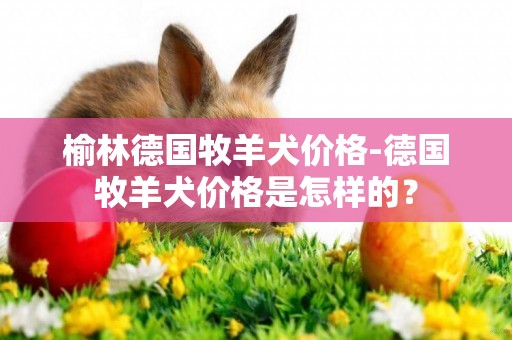 榆林德国牧羊犬价格-德国牧羊犬价格是怎样的？