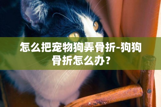 怎么把宠物狗弄骨折-狗狗骨折怎么办？