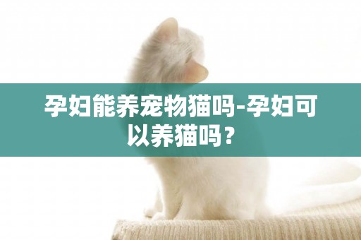 孕妇能养宠物猫吗-孕妇可以养猫吗？