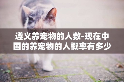 遵义养宠物的人数-现在中国的养宠物的人概率有多少？