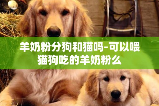 羊奶粉分狗和猫吗-可以喂猫狗吃的羊奶粉么