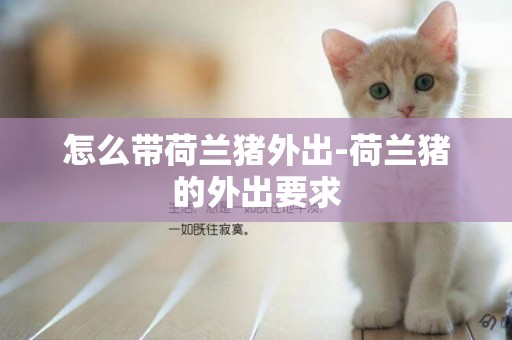 怎么带荷兰猪外出-荷兰猪的外出要求