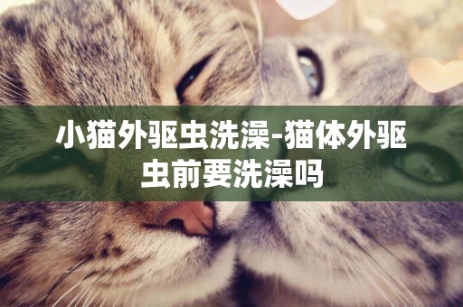 小猫外驱虫洗澡-猫体外驱虫前要洗澡吗