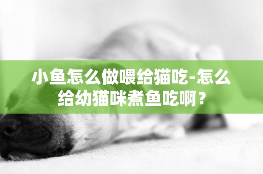 小鱼怎么做喂给猫吃-怎么给幼猫咪煮鱼吃啊？