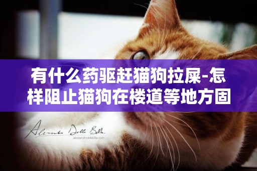 有什么药驱赶猫狗拉屎-怎样阻止猫狗在楼道等地方固定点拉屎？