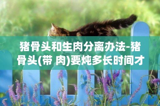 猪骨头和生肉分离办法-猪骨头(带 肉)要炖多长时间才能炖出精华？