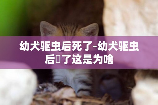 幼犬驱虫后死了-幼犬驱虫后廋了这是为啥