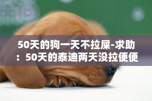 50天的狗一天不拉屎-求助：50天的泰迪两天没拉便便了怎么办？