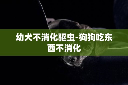 幼犬不消化驱虫-狗狗吃东西不消化