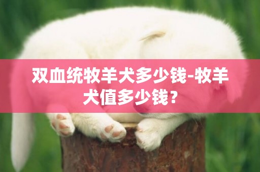 双血统牧羊犬多少钱-牧羊犬值多少钱？