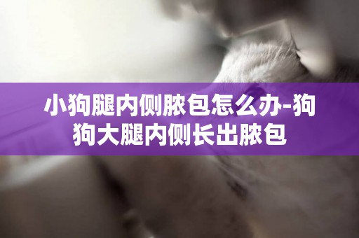 小狗腿内侧脓包怎么办-狗狗大腿内侧长出脓包