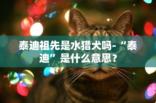 泰迪祖先是水猎犬吗-“泰迪”是什么意思？